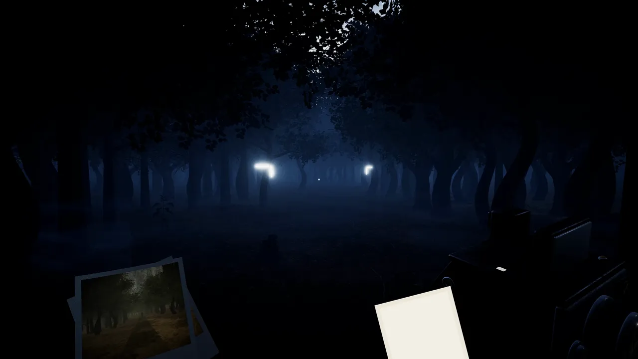 Chapter two in the dark: the flash catches two faded ribbons